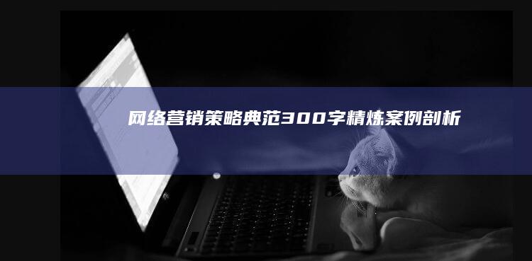 网络营销策略典范：300字精炼案例剖析